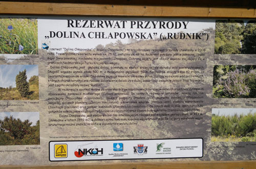 wakacje nad morzem